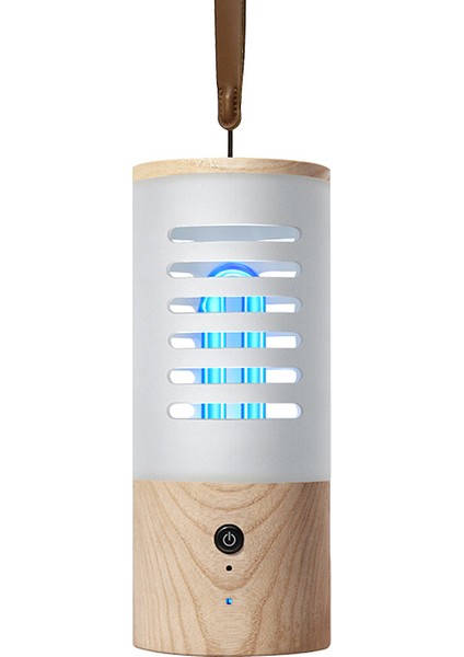 Uv Dezenfeksiyon Lambası Ev Için Çift Dezenfeksiyon USB Şarjı (Yurt Dışından)