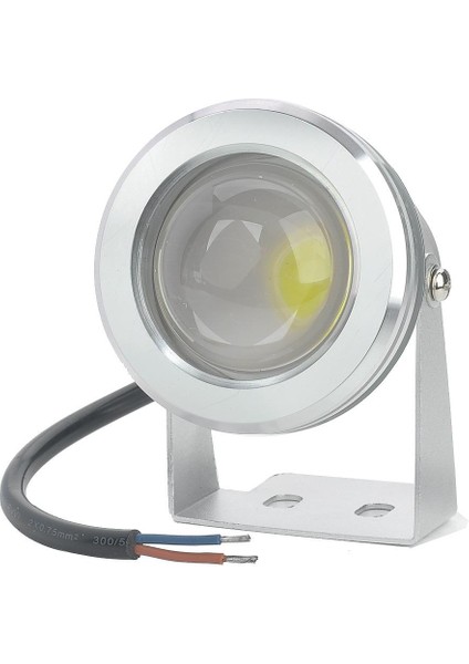 10W 800-LÜMEN 6500-7000K Beyaz LED Ampuller (Dc 9~26V) (Yurt Dışından)