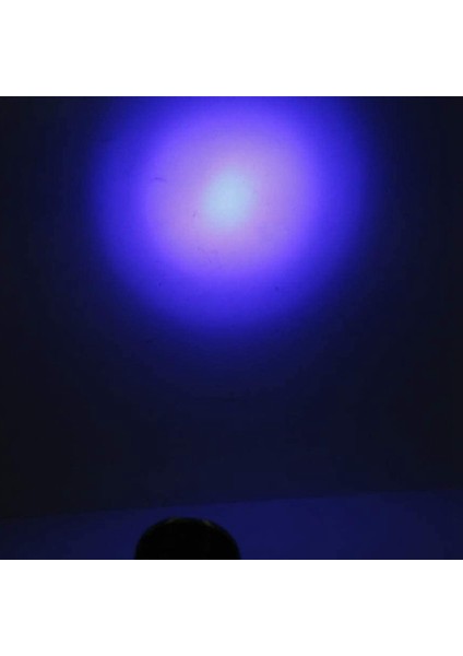Beerıs Taşınabilir 100 LED Uv El Feneri Blacklight Ultra Violet Işık Muayene Lambası Işığı Açık Su Geçirmez Lamba (Yurt Dışından)