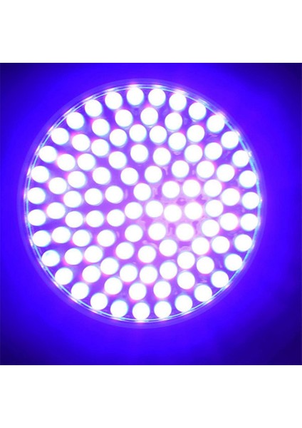 Beerıs Taşınabilir 100 LED Uv El Feneri Blacklight Ultra Violet Işık Muayene Lambası Işığı Açık Su Geçirmez Lamba (Yurt Dışından)