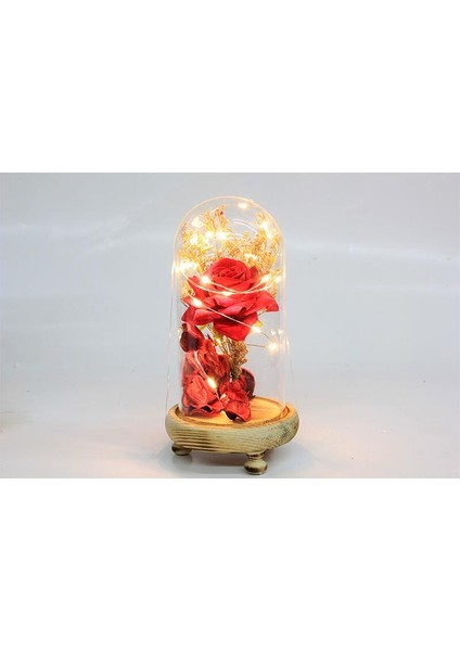 Fanus Gül 19/10CM LED Işıklı Cam Fanuslu Hediyelik