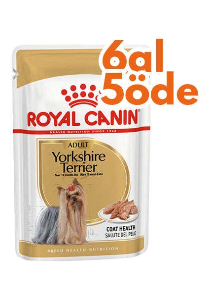Pouch Yorkshire Terrier Irkı Özel Yaş Köpek Maması 85 gr - 6 Al 5 Öde