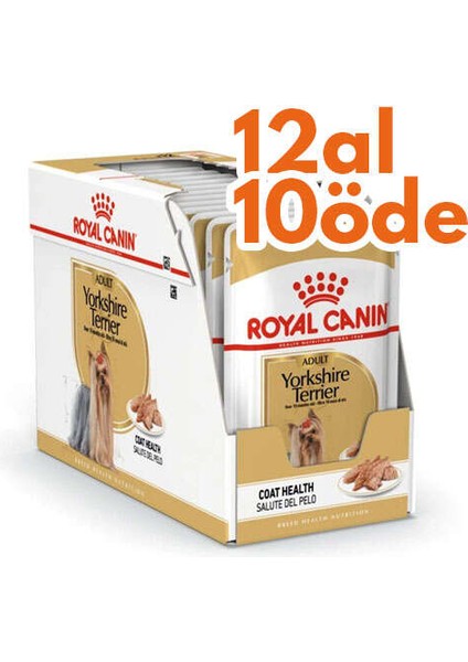 Pouch Yorkshire Terrier Irkı Özel Yaş Köpek Maması 85 gr - Box - 12 Al 10 Öde