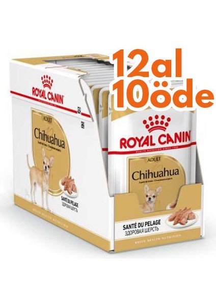 Pouch Chihuahua Irkı Özel Yaş Köpek Maması 85 gr - Box - 12 Al 10 Öde