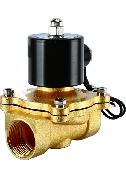 Su Için 1 Inç Elektrikli Solenoid Valf DN25 Pnömatik Valfhava AC220V