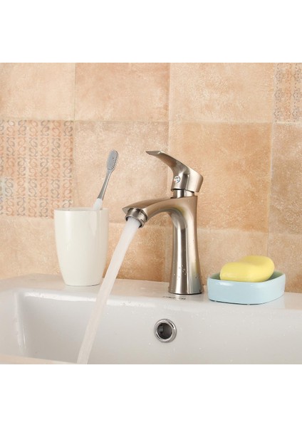 Tek Delikli Tek Kulplu Lavabo Bataryası Soğuk Su Banyo Lavabosu Fırçalı Nikel Musluk - modelleri