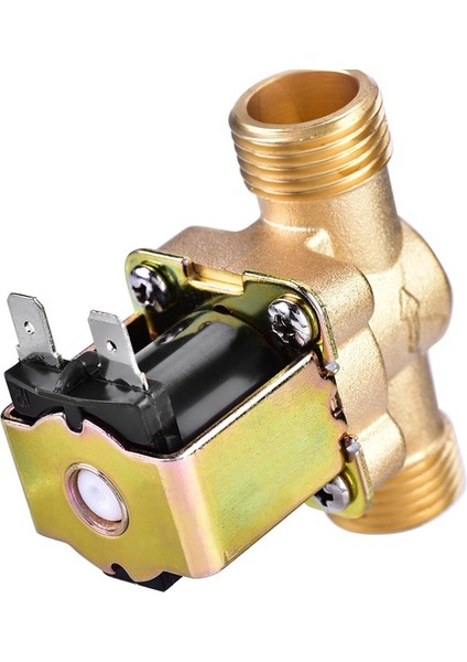 1/2 Inç Ac 220V Normalde Kapalı Br Elektrik Solenoid Su Kontrolü Için Manyetik Valf Kimyasal Sıvı Endüstrisi Mps