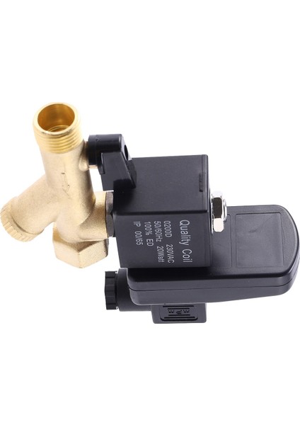 1/4 Inç AC220V 1.6mpa Elektronik Tahliye Vanası Zamanlı Hava Kompresörü Gaz Tankı Otomatik 2 Yollu Dayanıklı Tahliye Vanası fırsatları