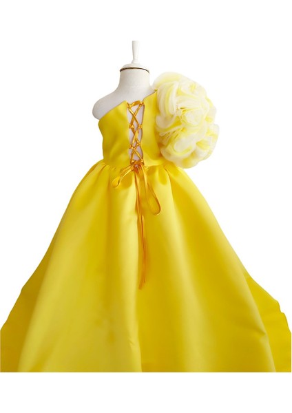 Sarı Rosetta modelleri