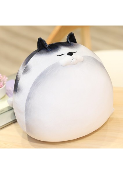 50 Cm Sevimli Kedi Peluş Oyuncak - Beyaz (Yurt Dışından)