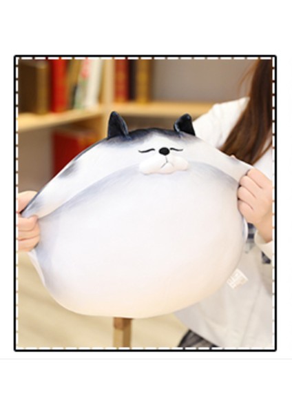 50 Cm Sevimli Kedi Peluş Oyuncak - Beyaz (Yurt Dışından) fiyatları