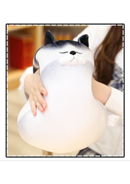 50 Cm Sevimli Kedi Peluş Oyuncak - Beyaz (Yurt Dışından) fırsatları