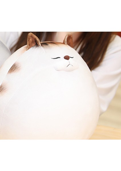 50 Cm Sevimli Kedi Peluş Oyuncak - Beyaz (Yurt Dışından) fiyatları