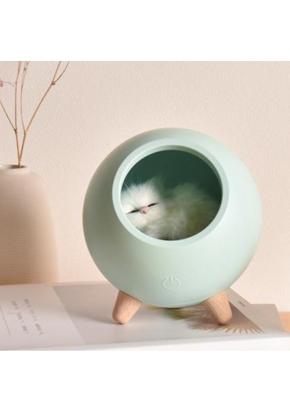 Güzel Küçük Pet House Atmosfer Led Gece Işık Kedi Evi Dokunmatik Karartma Masa Lambası Hediye Çocuk Bebek Yatak Odası Dekorasyon Için | Gece Işıkları (Yurt Dışından) fiyatları