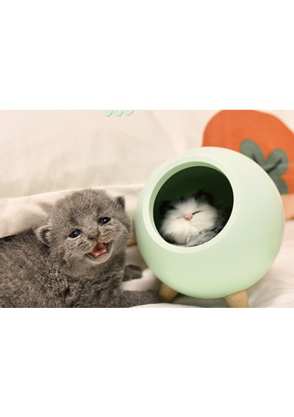 Güzel Küçük Pet House Atmosfer Led Gece Işık Kedi Evi Dokunmatik Karartma Masa Lambası Hediye Çocuk Bebek Yatak Odası Dekorasyon Için | Gece Işıkları (Yurt Dışından) fırsatları