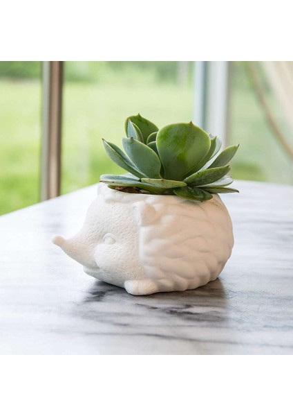 Prıckles The Hedgehog Planter Seramik Kirpi Saksı