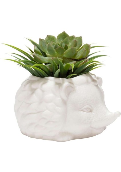 Prıckles The Hedgehog Planter Seramik Kirpi Saksı fiyatları