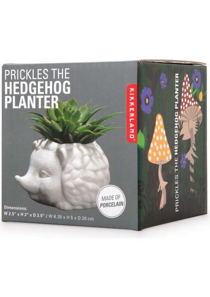 Prıckles The Hedgehog Planter Seramik Kirpi Saksı fırsatları