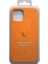 Apple Iphone 12 Pro Silikon Lansman Kılıf 2