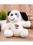 Kişiye Özel Grafik ve Fotoğraf Öğretmeni Peluş Köpek 1