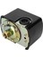 Premium Su Pompası Çift Yaylı Basınç Şalteri G1/4'' 20~120PSI 230V 5