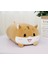 60 Cm Hayvan Tatlı Dinozor Kedi Kawaii Peluş Oyuncak Yumuşak Karikatür Bebek Bebek Yastık Hediye Oyuncaklar | Doldurulmuş Peluş Hayvanlar (Yurt Dışından) 3