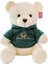 40 CM Teddy Bear Peluş Oyuncak - Yeşil (Yurt Dışından) 1