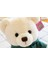 40 CM Teddy Bear Peluş Oyuncak - Yeşil (Yurt Dışından) 2