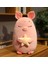 1 Adet 45 Cm Domuz Peluş Oyuncak - Pembe (Yurt Dışından) 4