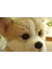 Sevimli Shiba Inu Köpek Peluş Oyuncak - Kahverengi (Yurt Dışından) 2