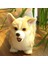 Sevimli Shiba Inu Köpek Peluş Oyuncak - Kahverengi (Yurt Dışından) 3