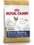 Royal Canin French Bulldog Yetişkin Köpek Maması 3 kg 1