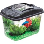 Aquael Betta Kit 3 Lt Beta Akvaryumu Dayanıklı Plastik Malzeme ile Güvenli ve Şık Tasarım