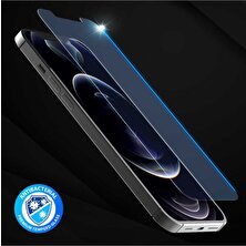 Apple iPhone 12 Pro Max Ultra Yüksek Çöznürlük Araree Subcore Temperli Ekran Koruyucu