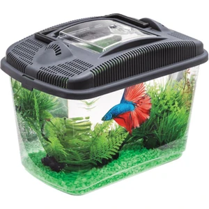 Betta Kit Beta Akvaryumu 3 Lt