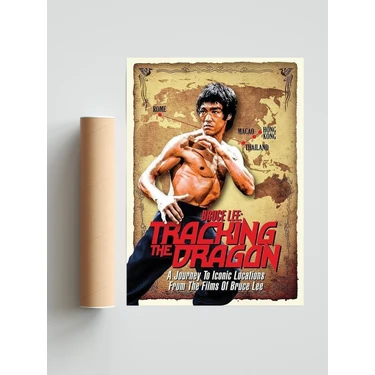 Bruce lee hot sale tracking the dragon