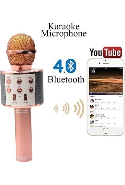 Case 4U Karaoke Mikrofon Bluetooth Hoparlör Aux Usb Mikro Sd Kart Girişli Siyah