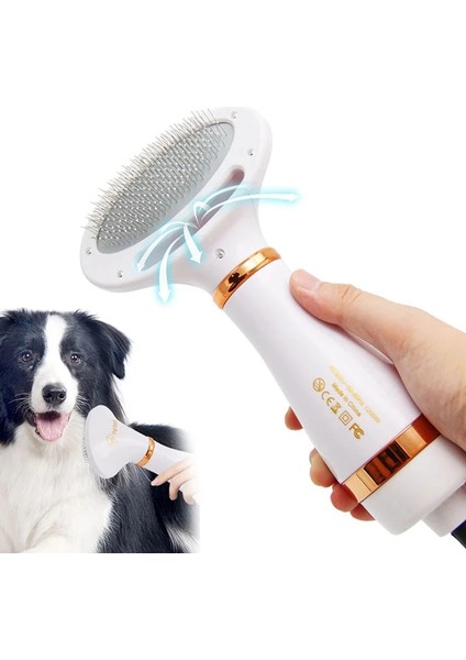 2'Si 1 Aradapet Köpek Saç Kurutma Makineleri Ve Tarak Fırçası - Altın (Yurt Dışından)
