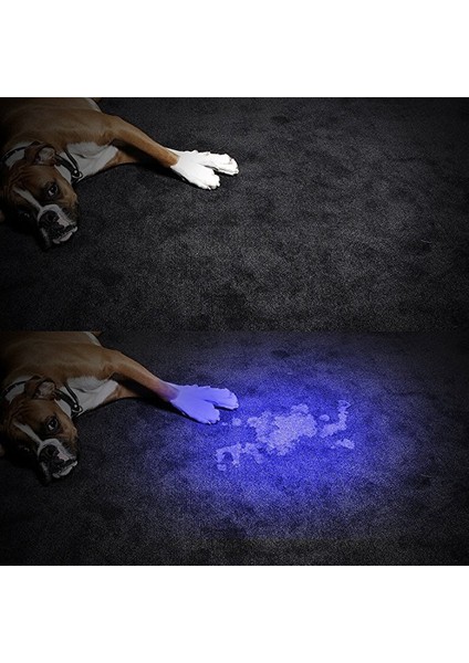 Xanes U06 Taşınabilir El Taktik Uv Ultraviyoleled El Feneri 3 * Aaa (Yurt Dışından)