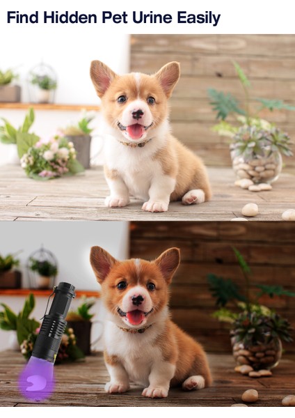 Xanes U06 Taşınabilir El Taktik Uv Ultraviyoleled El Feneri 3 * Aaa (Yurt Dışından) modelleri