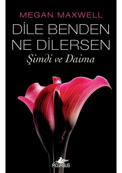 Dile Benden Ne Dilersen : Şimdi ve Daima - Megan Maxwell