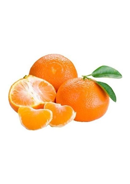 Tüplü Aşılı Nova Mandalina Fidanı 2 Yaş (100-120 Cm)