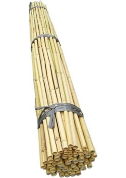 Fidan Destek Çubuğu Kamış(Ucu Sivriltilmiş) 80-90 Cm 25 Adet