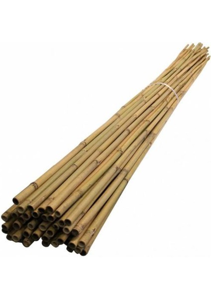 Fidan Destek Çubuğu Kamış(Ucu Sivriltilmiş) 140-150cm 25 Adet