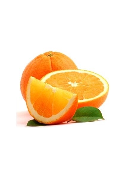 Tüplü Aşılı Valencia Portakal Fidanı 2 Yaş (100-120 Cm)