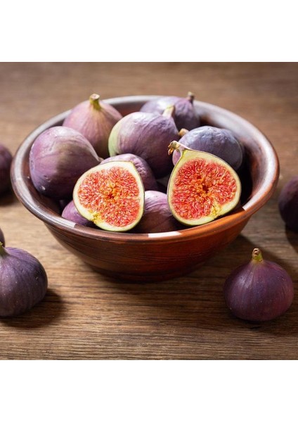 2 Adet Tüplü Mor Güz Incir Fidanı