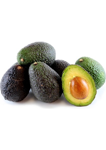 Aşılı Tüplü Hass Black Avokado 2 Yaş Boy 80-110 Cm