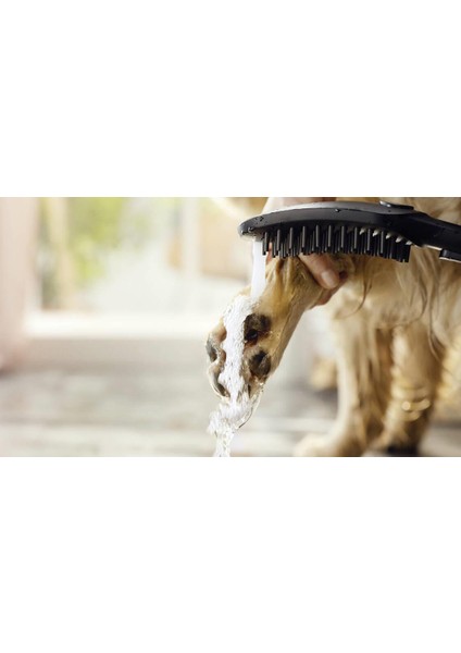 Dogshower 150 3jet Petrol modelleri