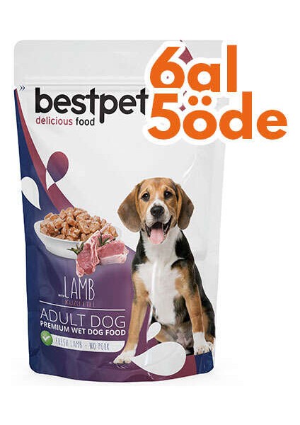 Pouch Jelly Kuzu Etli Jöleli Yetişkin Köpek Yaş Maması 100 gr