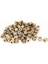 M3BN2 100 Adet M3x5x5mm Metrik Dişli Pirinç Tırtıl Yuvarlak Ekleme Somunları - Altın (Yurt Dışından) 1